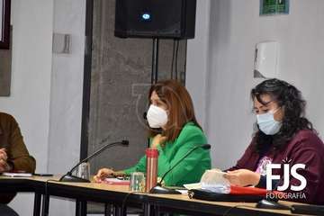  El Pleno aprueba 10 nuevos expedientes de créditos que suman más de 521.000 euros/Francisco Javier Santana.